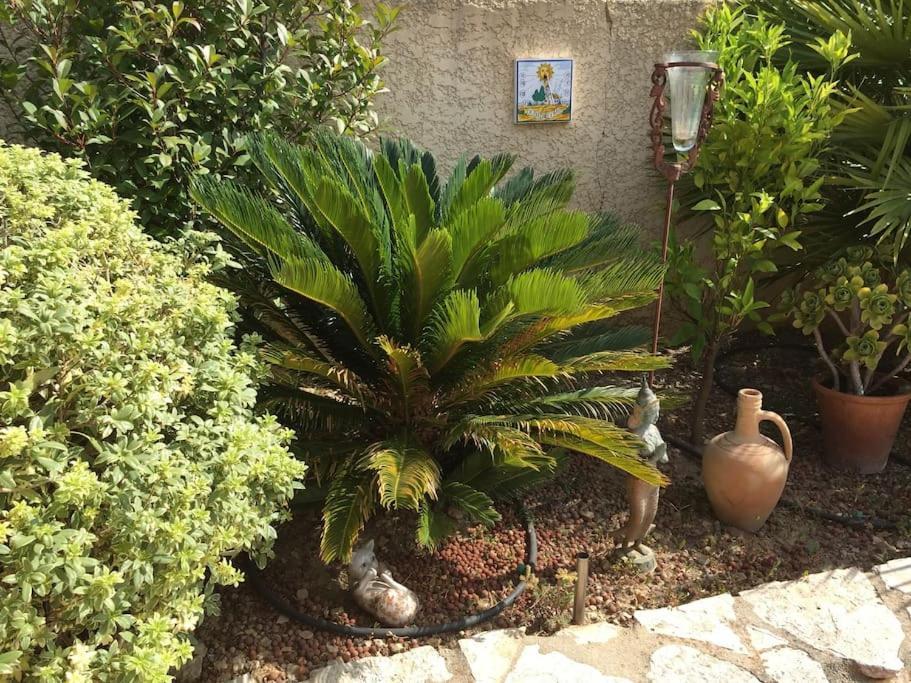 Au Pied Du Massif Des Costes Villa Pelissanne Bagian luar foto